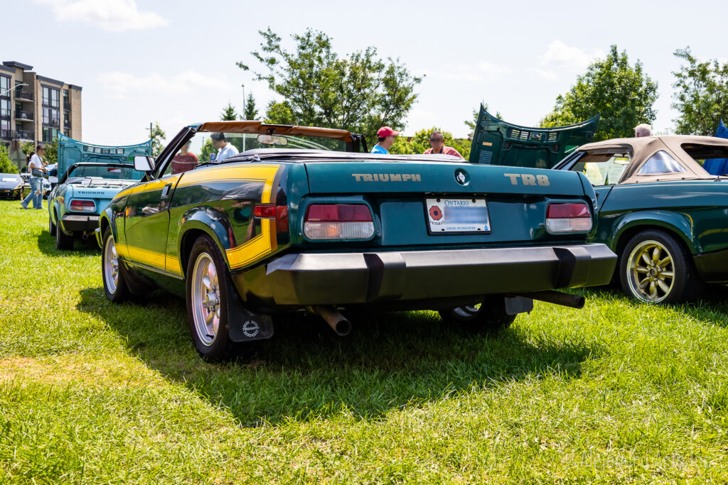 TRIUMPH TR8
